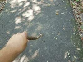 man's hand on walking stick on asphalt trail photo