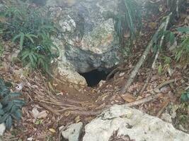 hole in karst rock in the Guajataca forest in Puerto Rico photo