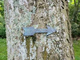 metal to family burial plot arrow on tree bark photo