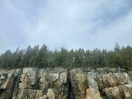 tall rocky cliffs on shore with trees in Maine photo