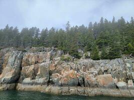 tall rocky cliffs on shore with trees in Maine photo