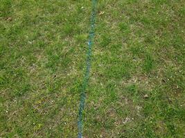 blue line painted on green grass or lawn or ground photo