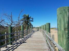 wood boardwalk or path with trees at beach in Isabela, Puerto Rico photo