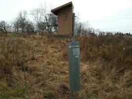 bird house with the number three and grass photo