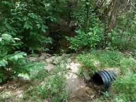 black plastic drain pipe in the woods photo