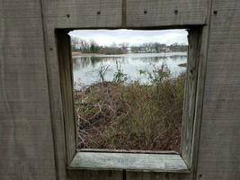 ventana ciega de pájaros de madera o marco con agua y plantas foto