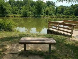 bench overlooking a pond photo