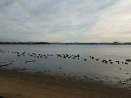 ducks and geese and birds on Potomac river with beach and Wilson bridge photo