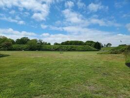 man laying down or sleeping in green grassy field photo