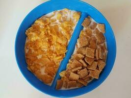 tazón de plástico azul con divisor y con cereal y leche foto