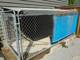 metal fence dog kennel or cage or shelter with tarp photo