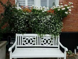 white bench with brick house and white flowers photo