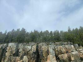 tall rocky cliffs on shore with trees in Maine photo