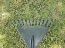 black plastic rake in green grass