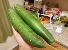 mano sujetando grandes pepinos verdes en la cocina foto