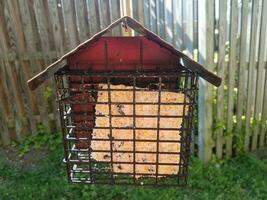 bird feeder with suet cake in it photo