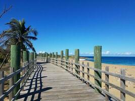 wood boardwalk or path with trees at beach in Isabela, Puerto Rico photo
