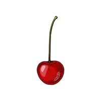 Hand drawn cherry berry isolated on white. Vector illustration in colored sketch style