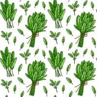 Seamless pattern with sage leaves and bunches. Hand drawn greens and leaf vegetables. Vector illustration in colored sketch style