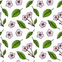 Hand drawn cherry blossom seamless pattern. Vector illustration in colored sketch style