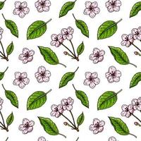 Hand drawn cherry blossom seamless pattern. Vector illustration in colored sketch style