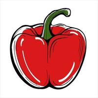 Red sweet pepper painted on a white background vector
