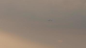 avión en el cielo del atardecer video