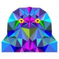 Owl with poly design on white background. vector