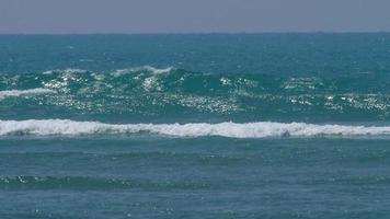 Waves on Coral Reef video