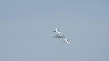 escuadrón de jets militares equipo acrobático video
