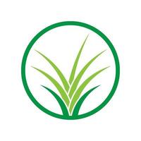 vector de plantilla de logotipo de hierba aislado