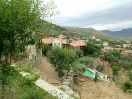 casas en colinas con plantas y pastos y árboles foto