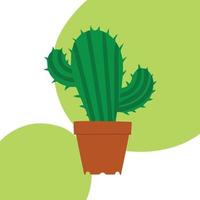 Concept of cactus on colored background. Vector illustration. Cactus isolated on white background with green circles. Design element for website brochure poster menu