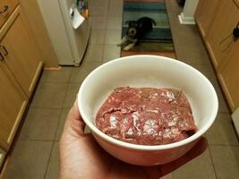 hand holding bowl of raw meat with dog photo