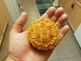 hand holding Chinese moon cake pastry in a kitchen photo