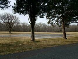 ice and water in grass field with trees and road photo