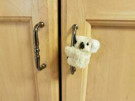 small koala bear on cabinet door handle photo