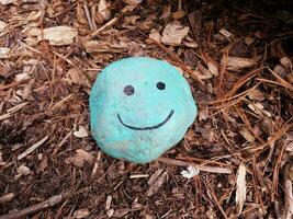 cara azul con sonrisa en roca y mantillo marrón foto