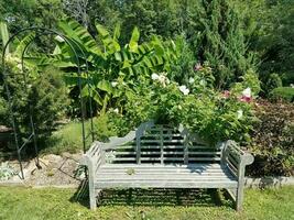 wood bench in garden photo