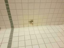 a hole in the white and green bathroom wall tiles photo