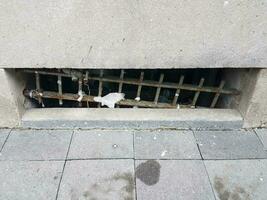 grey cement wall and tiles and broken iron bars with trash photo