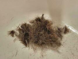 cabello afeitado o cortado en un lavabo o palangana del baño foto
