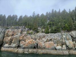 tall rocky cliffs on shore with trees in Maine photo