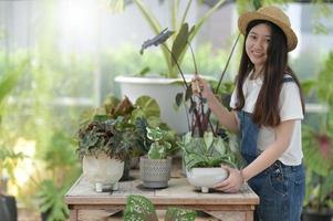 Young woman caring for trees, planting and caring equipment, plants in greenhouses, small businesses. photo