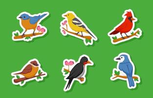 plantilla de conjunto de pegatinas de aves vector