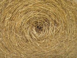 cyclic straw background. photo