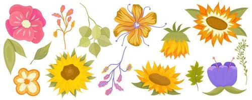 Floral set with sunflower, eucalyptus, leaves and colorful plants. Summer cartoon set of flowers isolated on white background. Vector illustration.