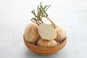 Fresh Jicama or bengkoang, white tubers that can be eaten as salad or for face masks. Prebiotic food, gut health. photo