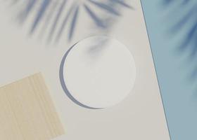 3d render top view of white blank cylinder frame for mock up and display products with shadows of palm leaves and white blue background. photo