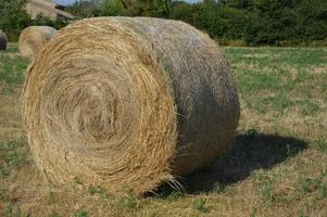 rollo de heno en el campo foto